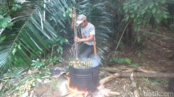Produksi kolang-kaling di tengah hutan Purwakarta