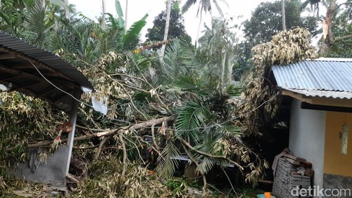 Rumah warga rusak tertimpa pohon tumbang di Karangasem, Bali.