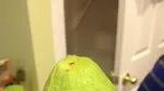 Wouw! Setelah Dikupas 10 Buah Ini Tampilannya Memukau!