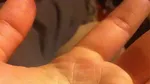 Wouw! Setelah Dikupas 10 Buah Ini Tampilannya Memukau!
