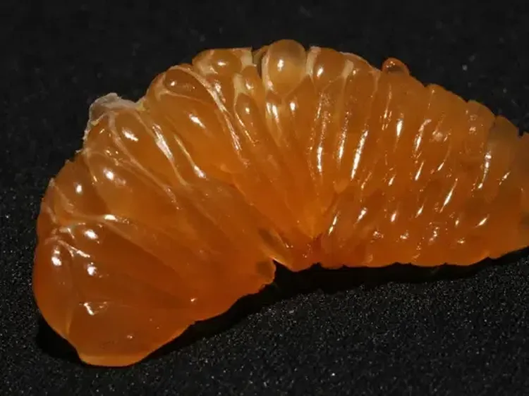 Wouw! Setelah Dikupas 10 Buah Ini Tampilannya Memukau!