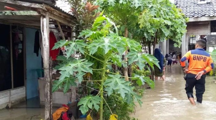 Banjir akibat luapan Bengawan Solo meluas di Lamongan.