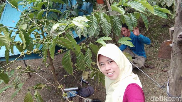 Cerita Iis yang bantik setir dari mantan penjaga kantin menjadi pengusaha kopi ternama di Pangandaran