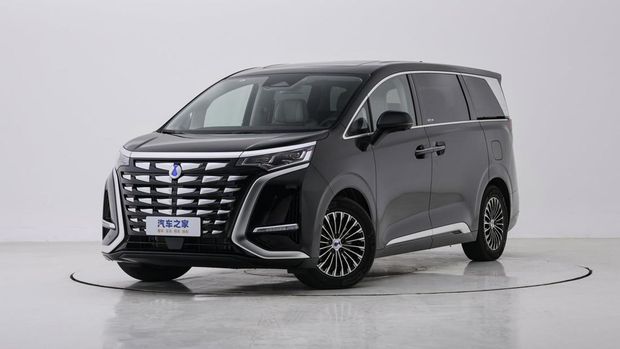 Denza D9