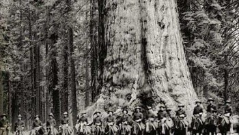 Tentara kavaleri AS berpose di depan sequoia di Yosemite yang dikenal sebagai Grizzly Giant, pada tahun 1900. Pohon ini masih berdiri sampai sekarang. Foto: Boredpanda
