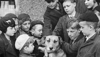 Sekelompok anak kompak merawat dan memberi makan anjing tersebut setelah pemiliknya meninggal, Inggris 1936. Foto: Boredpanda