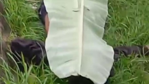 Geger dua pria ditemukan di pinggir jalan di Tabanan, Bali, satu di antaranya tewas.