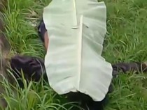 Geger! 2 Pria Tergeletak di Pinggir Jalan, Satu Tewas-Satu Luka Parah