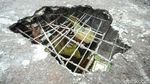 JPO Berlubang di Grogol Mulai Diperbaiki