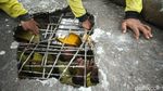 JPO Berlubang di Grogol Mulai Diperbaiki