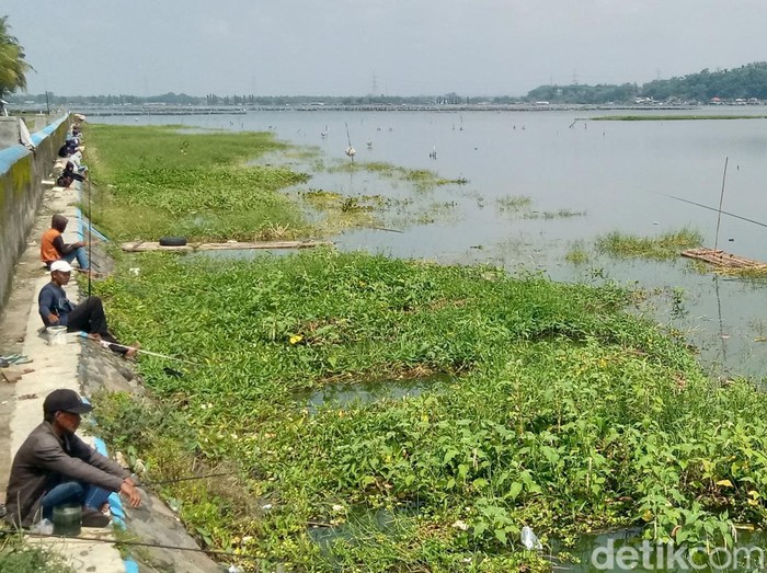 Pemancing di Rawa Jombor, Desa Krakitan, Kecamatan Bayat, Kabupaten Klaten, Rabu (13/3/2024).