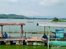 Mencoba 6 Aktivitas Seru di Wisata Rowo Jombor Klaten