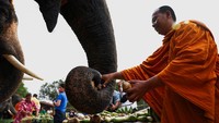Ada sekitar 3.800 gajah peliharaan yang tersisa di suaka margasatwa di seluruh Thailand, menurut Departemen Konservasi Margasatwa dan Tumbuhan Thailand.