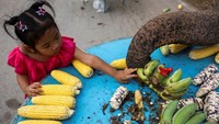 Seorang anak nampak senang memberikan buah-buahan kepada gajah.
