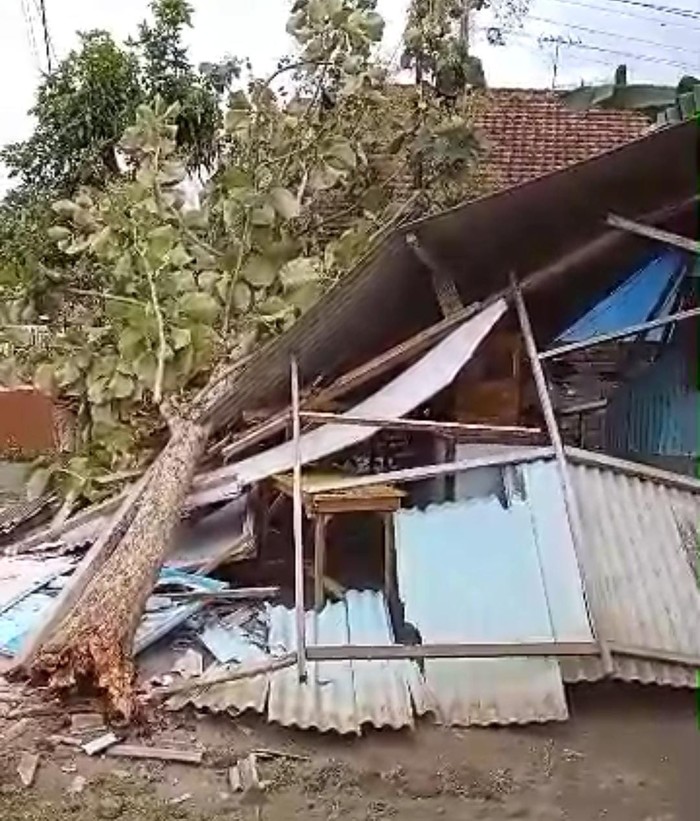 pohon tumbang di blitar timpa warung dan tutup jalan