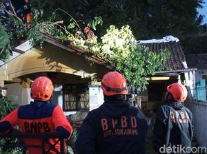 Pohon Setinggi 10 Meter Tumbang Timpa Rumah di Sukabumi Saat Sahur