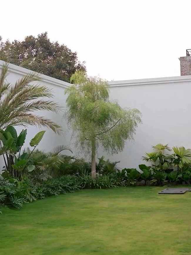 Halaman belakang masih cukup luas sampai Nabila dapat memanfaatkannya untuk menanam tanaman hijau ang asri.(Foto: Instagram/@nsyakieb85)