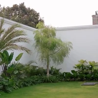 Halaman belakang masih cukup luas sampai Nabila dapat memanfaatkannya untuk menanam tanaman hijau ang asri.(Foto: Instagram/@nsyakieb85)