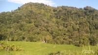 Foto salah satu bukit di Kabupaten Tegal oleh Malik