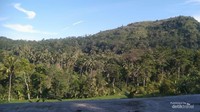Foto perbukitan di Tegal oleh Malik