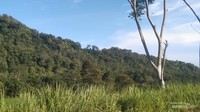 Foto bukit di Tegal oleh Malik