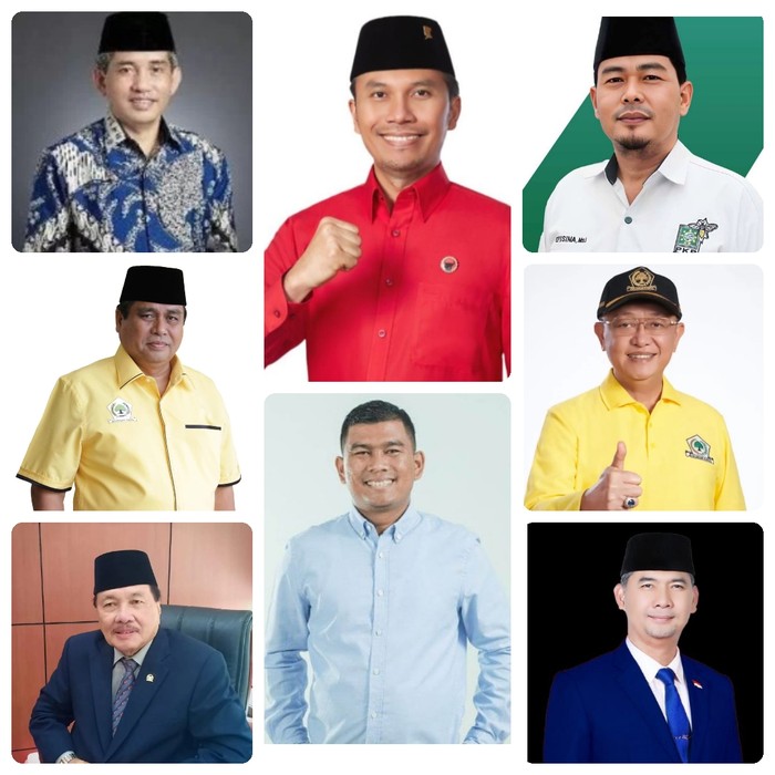 8 caleg Dapil Jambi yang berhasil lolos DPR RI.