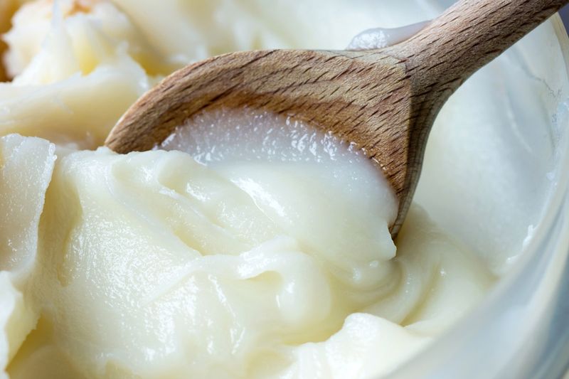 Aneh! 5 Obat Flu dan Demam Ini Pakai Kadal hingga Lemak Babi