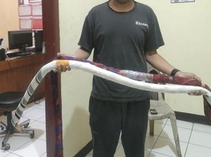 Ramai-ramai Sikat Perang Sarung di Jabar