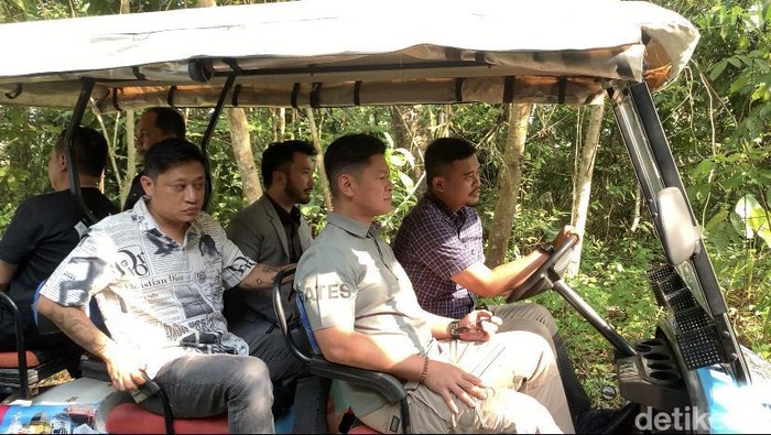 Bobby Nasution saat meninjau Medan Zoo bersama calon investor. (Foto: Kartika Sari/detikSumut).