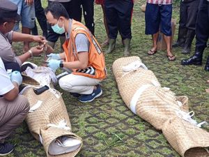 Dua Turis Asing Tewas Tertimbun Longsor di Jatiluwih Tabanan