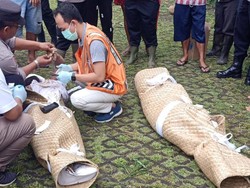 Dua orang warga negara asing (WNA) bernama Angelina Smith (47) asal Amerika Serikat (AS) dan Kross Luciano (50) asal Belanda tewas akibat longsor. Mereka menginap di Vila Yeh Baat Jatiluwih by The Lavana. (Dok. BPBD Tabanan).