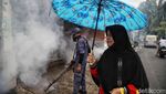 Cegah DBD Saat Ramadan, Petugas Fogging Rumah-rumah Warga di Jakut