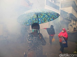 Kasus Baru-Kematian DBD di RI Tahun 2024 Lebih Ngegas! Terbanyak di Wilayah Ini