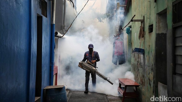 Kasus DBD di RI Ngegas Terus, Kapan Puncaknya Terlewati? Ini Prediksi Pakar