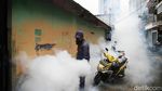 Cegah DBD Saat Ramadan, Petugas Fogging Rumah-rumah Warga di Jakut