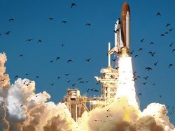 Kumpulan Foto Sebelum Tragedi Mengerikan Terjadi