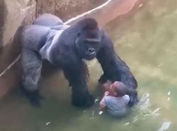 Kumpulan Foto Sebelum Tragedi Mengerikan Terjadi