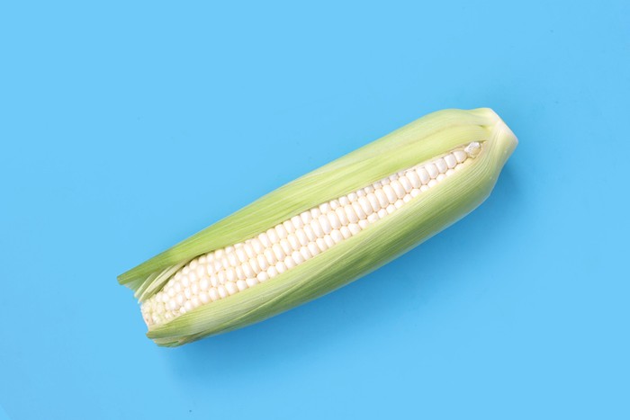 Jagung Hokkaido