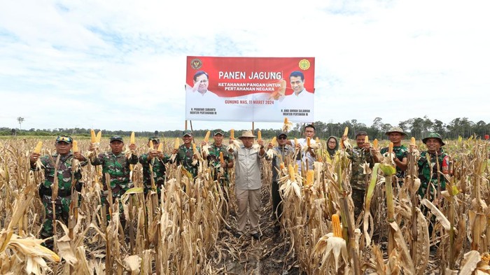 Kementerian Pertahanan menghadiri panen raya jagung di lahan food estate, Desa Tewai Baru, Gunung Mas, Kalimantan Tengah.