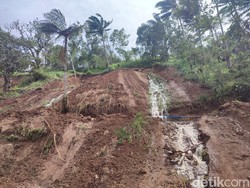 Berdasarkan informasi yang diterima detikBali, longsor yang menimpa Vila Yeh Baat Jatiluwih by The Lavana itu terjadi pukul 04.00 Wita. Pantauan di lokasi, longsor terjadi dari ketinggian kurang lebih 30 meter. (Ahmad Firizqi Irwan/detikBali)