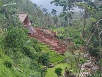 Potret Longsor di Jatiluwih Tabanan yang Tewaskan Dua Turis Asing