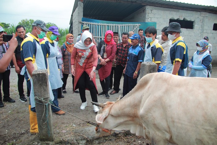Pemkab Klaten