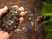 Mikroba Ini Petunjuk Baru Estimasi Waktu Kematian yang Akurat