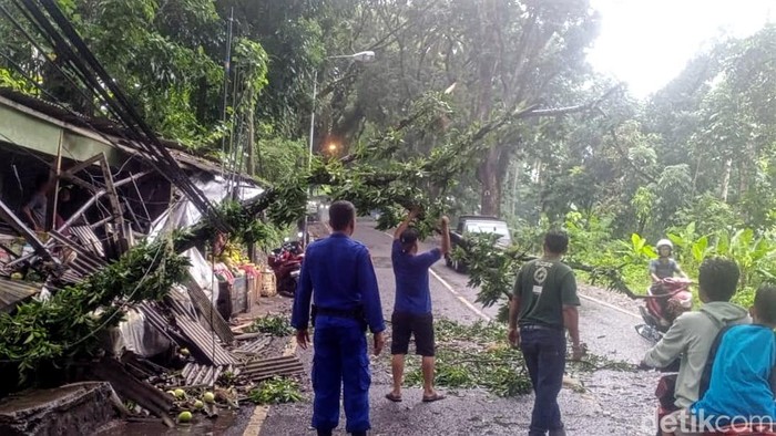 Pohon timpa kios buah di Sukabumi