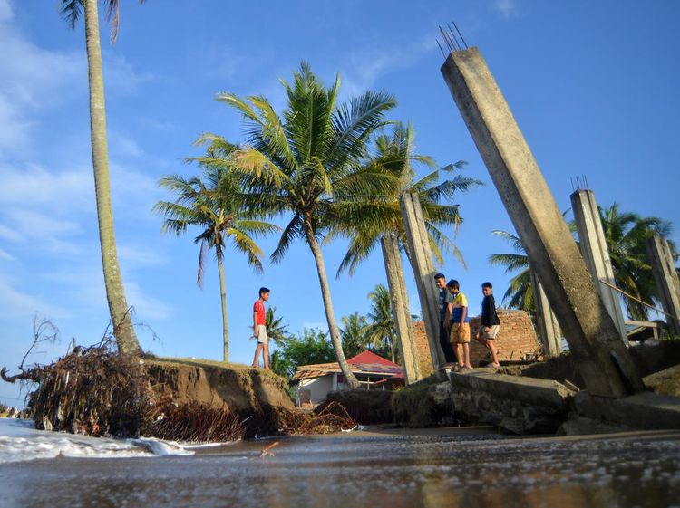 Rumah Roboh dan Ratusan Pohon di Padang Tumbang Akibat Abrasi Pantai