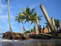 Rumah Roboh dan Ratusan Pohon di Padang Tumbang Akibat Abrasi Pantai