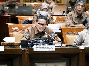 Tiket Domestik Mahal, Armada Pesawat Kita Ketinggalan dari Negara Lain