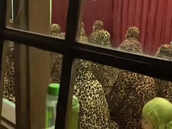 Viral Bikin Ngakak, Geng Emak-emak Tarawih Pakai Mukena Motif Macan Tutul