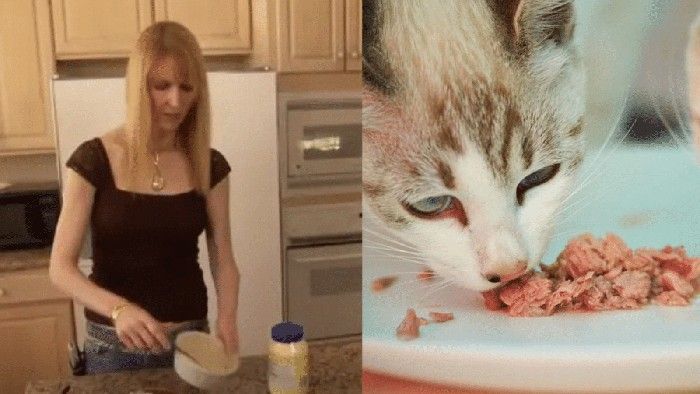 5 Orang Ini Punya Kebiasaan Aneh, Suka Ngemil Makanan Anjing dan Kucing