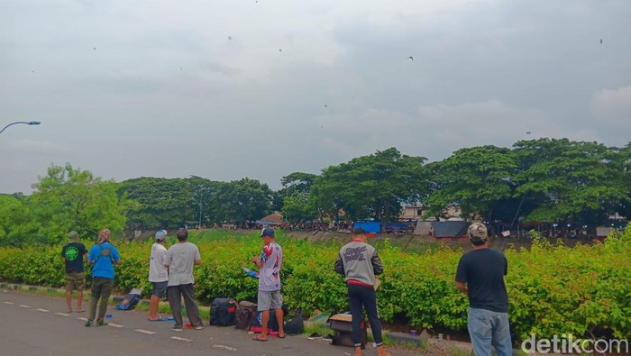 Bisnis layang layang Bisnis layang layang